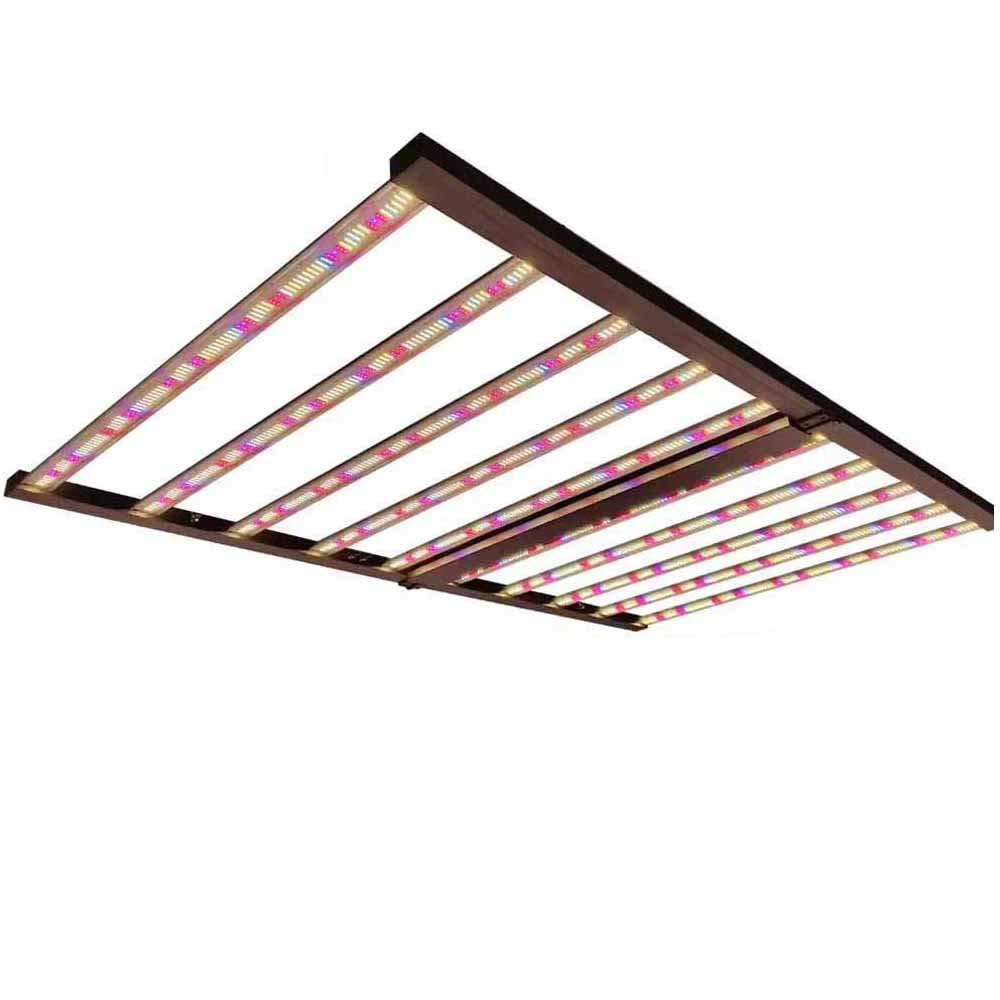 basic 4x6 1000w grow light