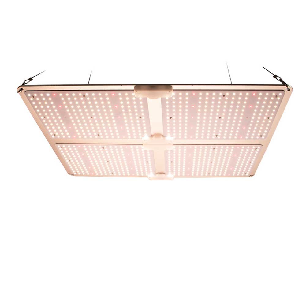 quantum board led grow light